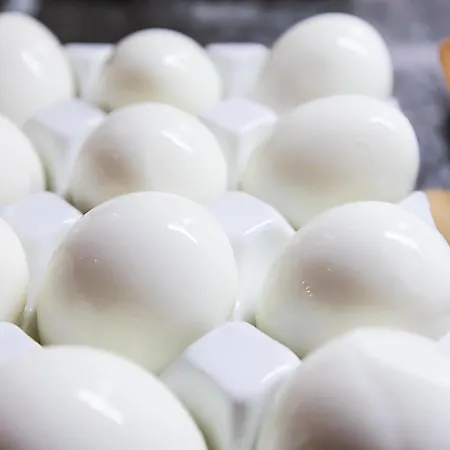 Ibis Lisboa Alfragide Amadora